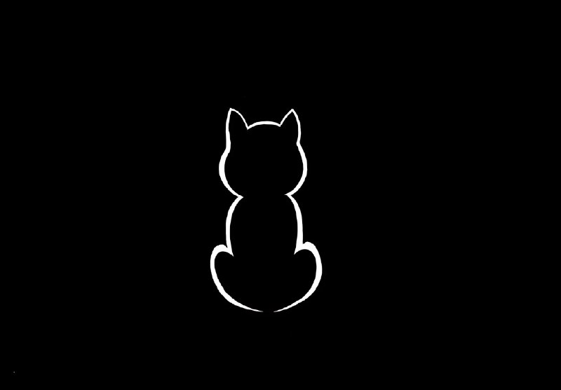 Ashera Pet 功能介紹 - 毛孩履歷、認養搜尋、社群分享