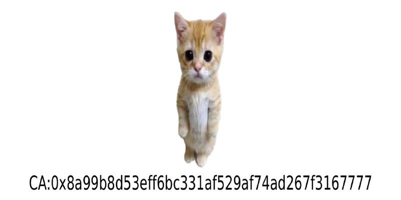 GitHub - tradecatlabs/tradecat-public: 交易猫数据系统