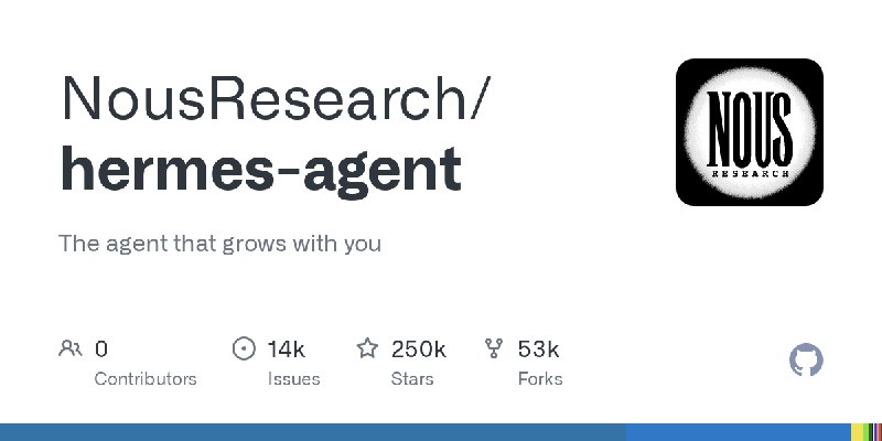 GitHub - NousResearch/hermes-agent: The agent that grows with you