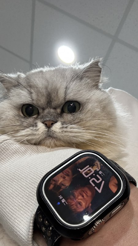 這樣也算是某種家庭照嗎